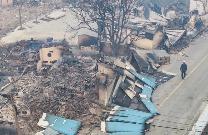 South Korea wildfires : Notice for Sri Lankan nationals