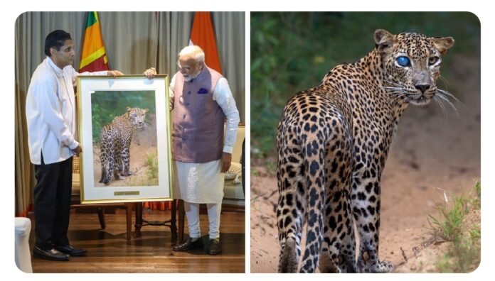 Sajith reveals story behind powerful image gifted to Indian PM