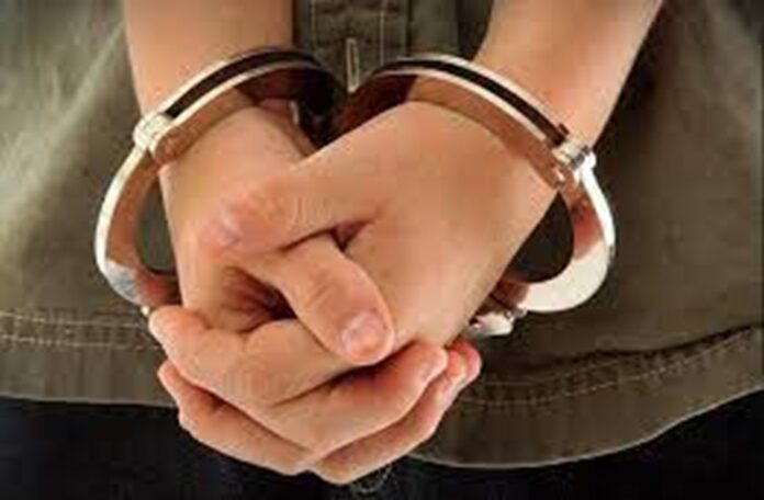 Artist remanded over Rs. 30,000 bribes