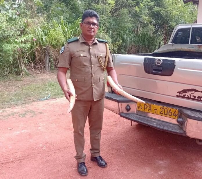 Four arrested with elephant tusks in Galgamuwa raid