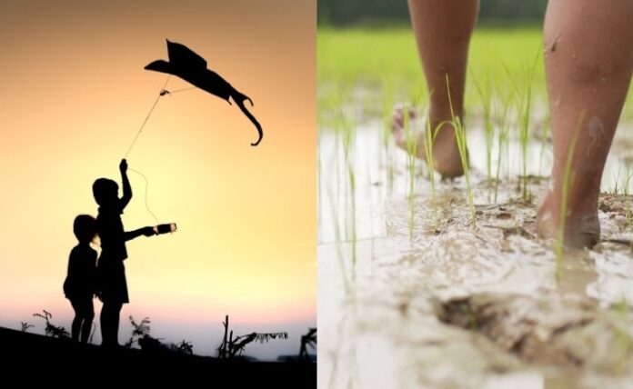 Kite season linked to higher risk of Leptospirosis in children