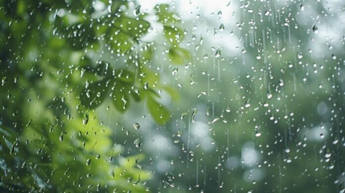 Rain expected in several areas today