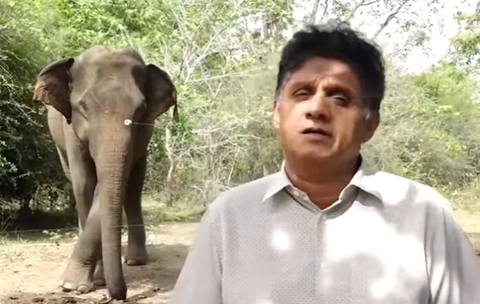 Standing before a wild elephant, Sajith calls for nature-centred conservation strategy